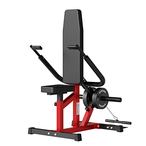 syedee Seated Dip Machine Plate Loaded  Tricep Dip Press Machine with Cable Bar for Biceps Chest Training, Hold up to LBS